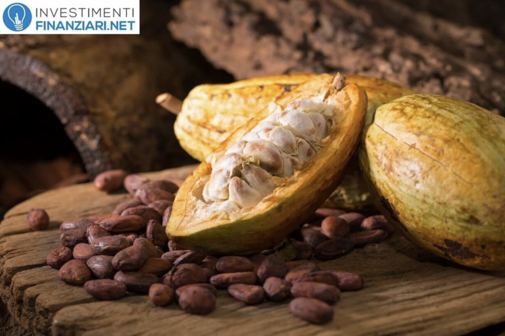 ETF Cacao: Guida completa ai Migliori ETF e-commerce 2022 a cura di InvestimentiFinanziari.net